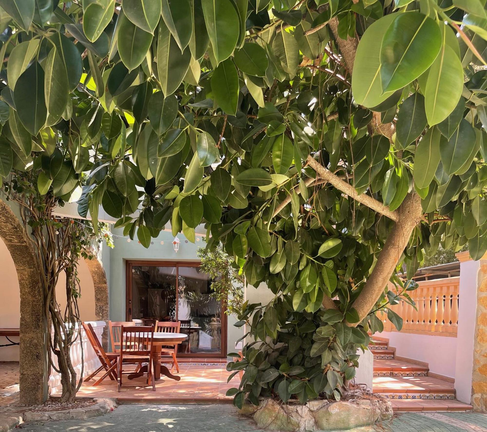 La Posada Paradiso Хавеа Экстерьер фото
